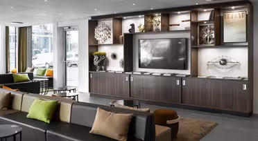 Modern living room with sleek decor, featuring a large flat-screen TV centered in a wooden cabinet with shelves. Decorative items and art pieces fill the shelves. Sofas with colorful cushions face the TV, and large windows provide natural light.