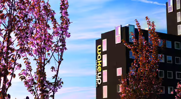 Flowering trees and tulips fill the foreground under a clear blue sky with contrails. A modern black building with white-framed windows is in the background.