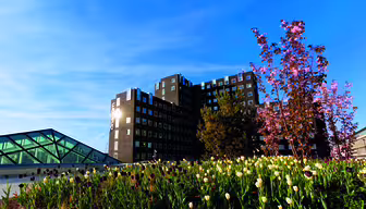 A modern building with dark paneling stands under a clear blue sky. In the foreground, a landscaped area features blooming tulips and cherry blossoms. A glass triangular structure is partially visible on the left.