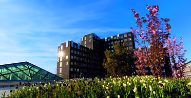 A modern building with dark paneling stands under a clear blue sky. In the foreground, a landscaped area features blooming tulips and cherry blossoms. A glass triangular structure is partially visible on the left.