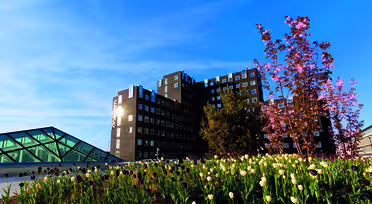 A modern building with dark paneling stands under a clear blue sky. In the foreground, a landscaped area features blooming tulips and cherry blossoms. A glass triangular structure is partially visible on the left.