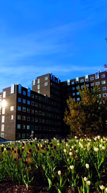 A modern building with dark paneling stands under a clear blue sky. In the foreground, a landscaped area features blooming tulips and cherry blossoms. A glass triangular structure is partially visible on the left.