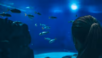 A woman with a ponytail, holding a baby, is gazing at an aquarium tank filled with various fish swimming. The tank is illuminated with a soft blue light, creating a serene underwater atmosphere.