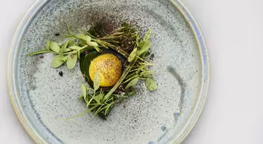 A beautifully plated dish features a bright yellow sphere, green herbs, sprouts, and delicate purple flowers on a large, speckled ceramic plate with a muted blue and gray finish.